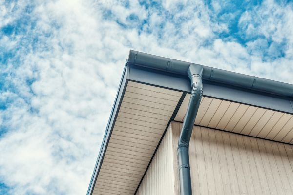 Gutter Fascia Repair in Fletcher