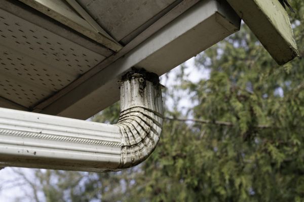 Roof Drain Replacement in Fletcher